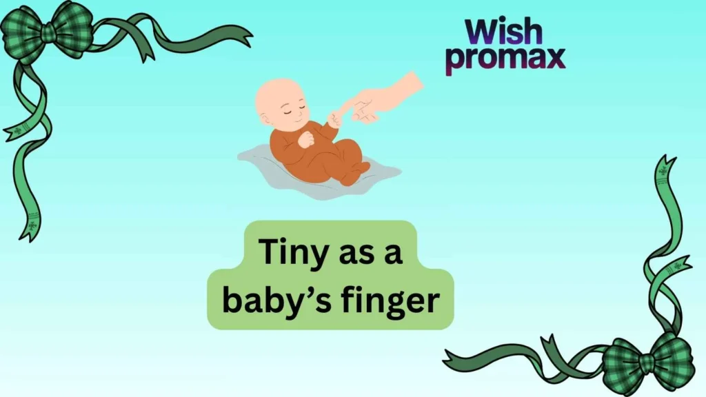 Tiny as a baby’s finger