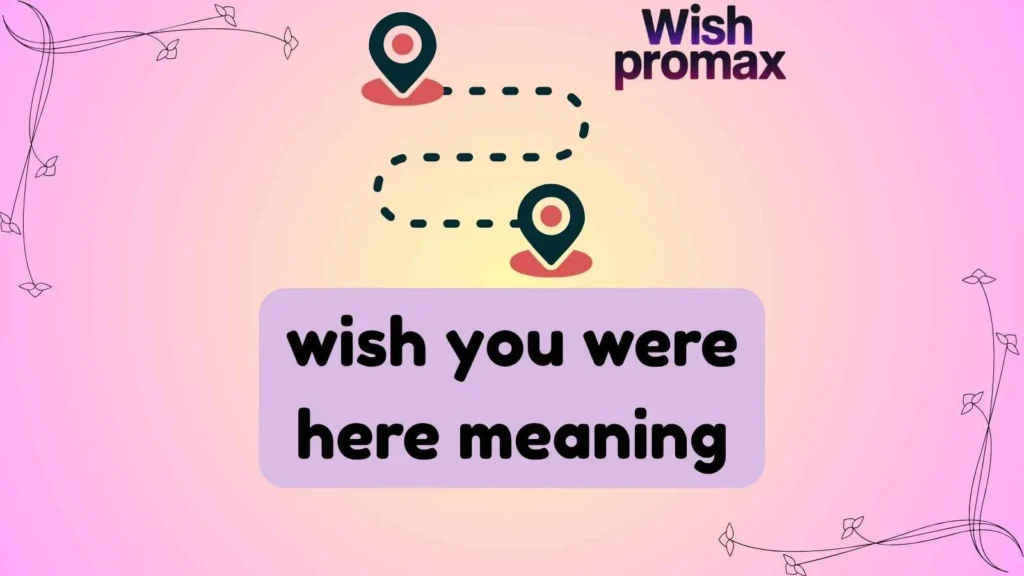 wish you were here meaning