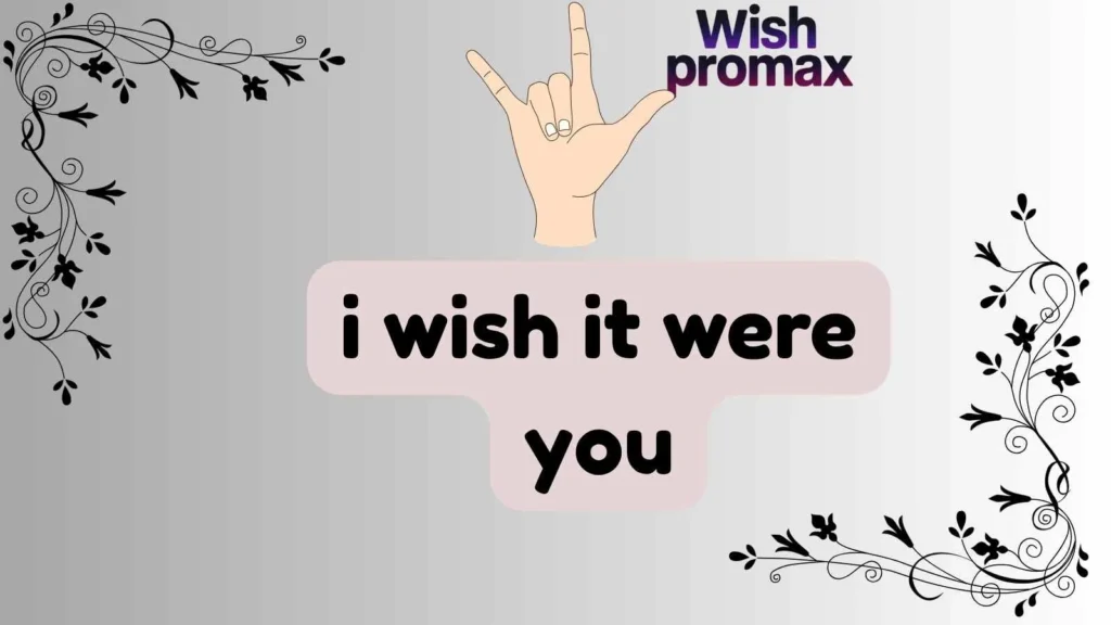 i wish it were you