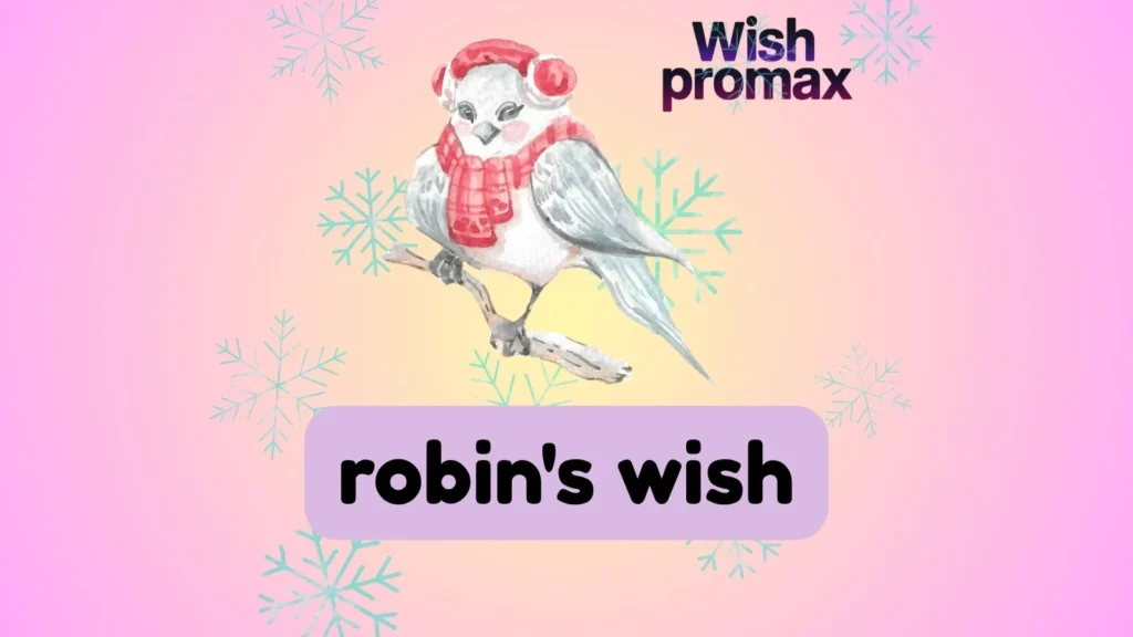 robin's wish