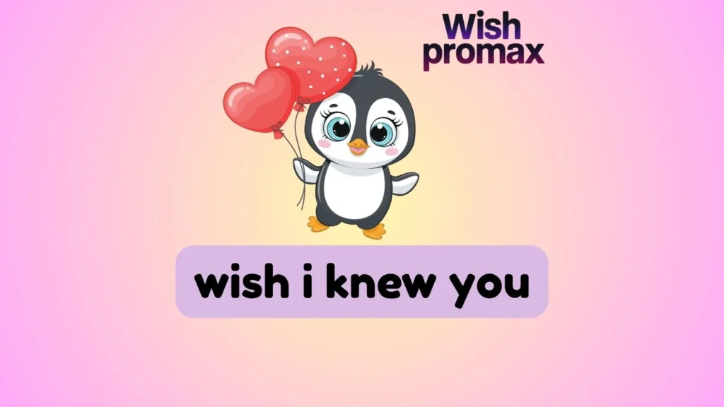 wish i knew you