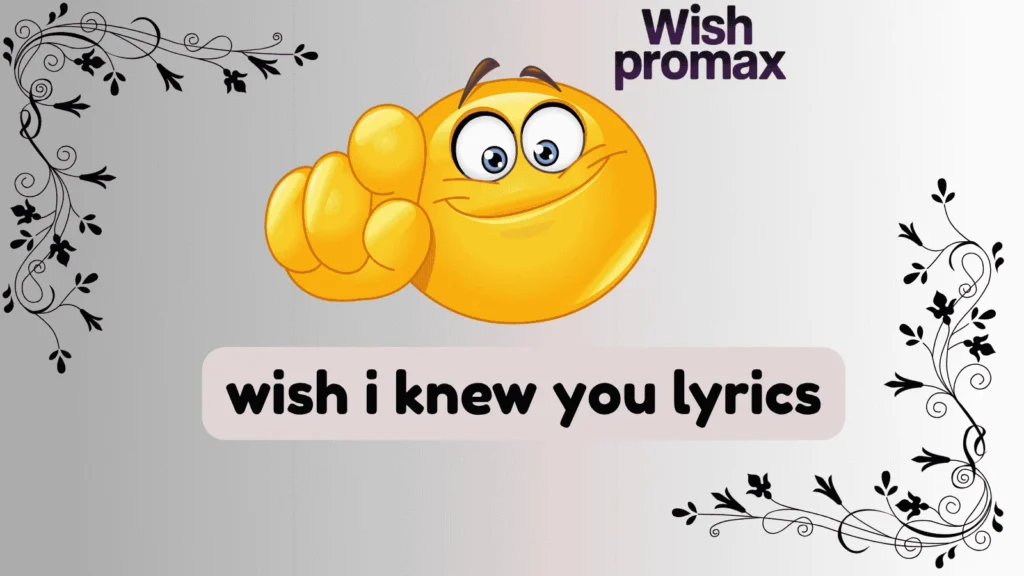 wish i knew you lyrics
