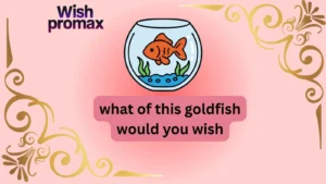what of this goldfish would you wish